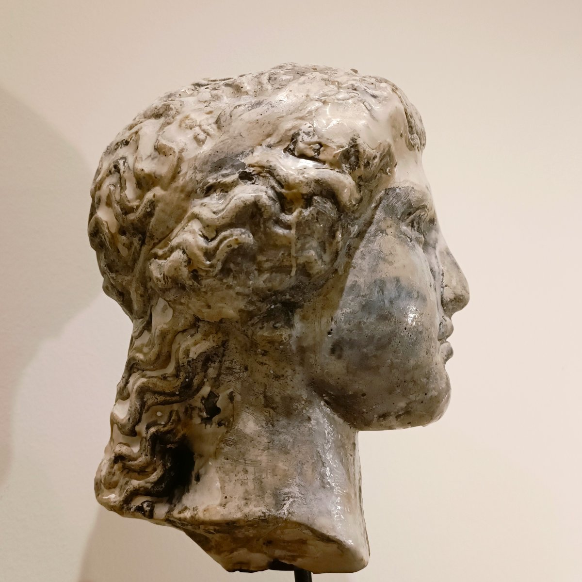 Sculpture en cire 1920  Tête de Junon d'une académie de sculpture parisienne-photo-4