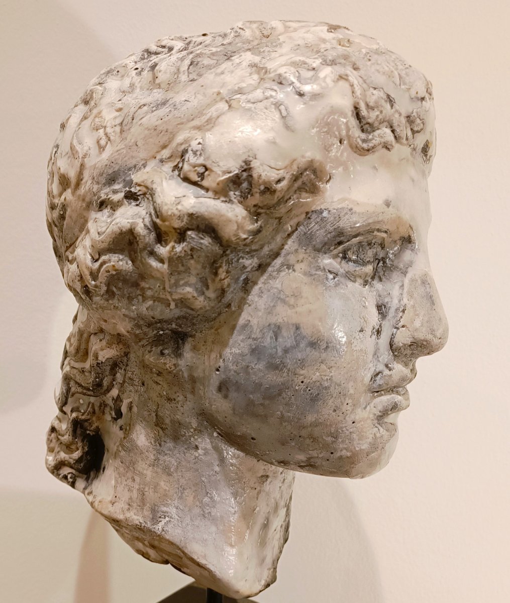 Sculpture en cire 1920  Tête de Junon d'une académie de sculpture parisienne-photo-4