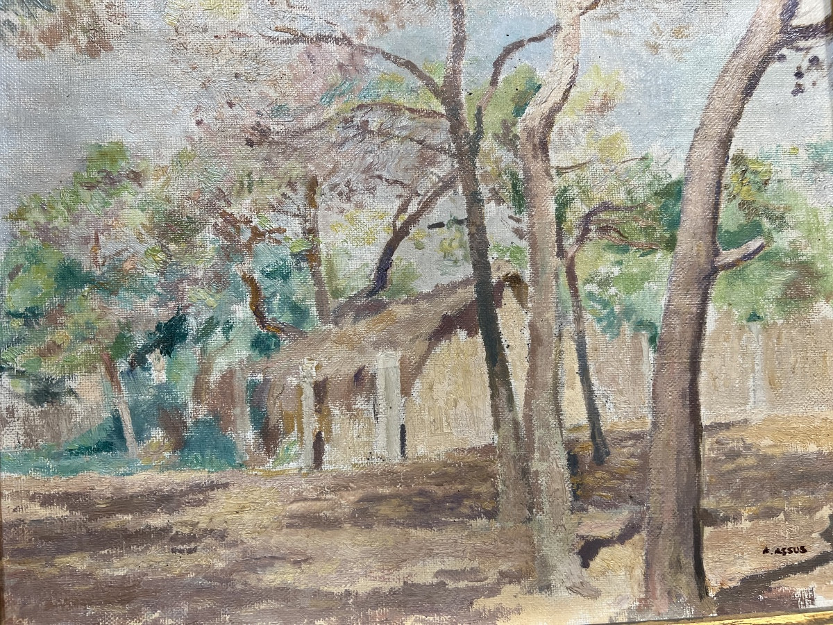 Armand Assus, Painter From Algeria -photo-4