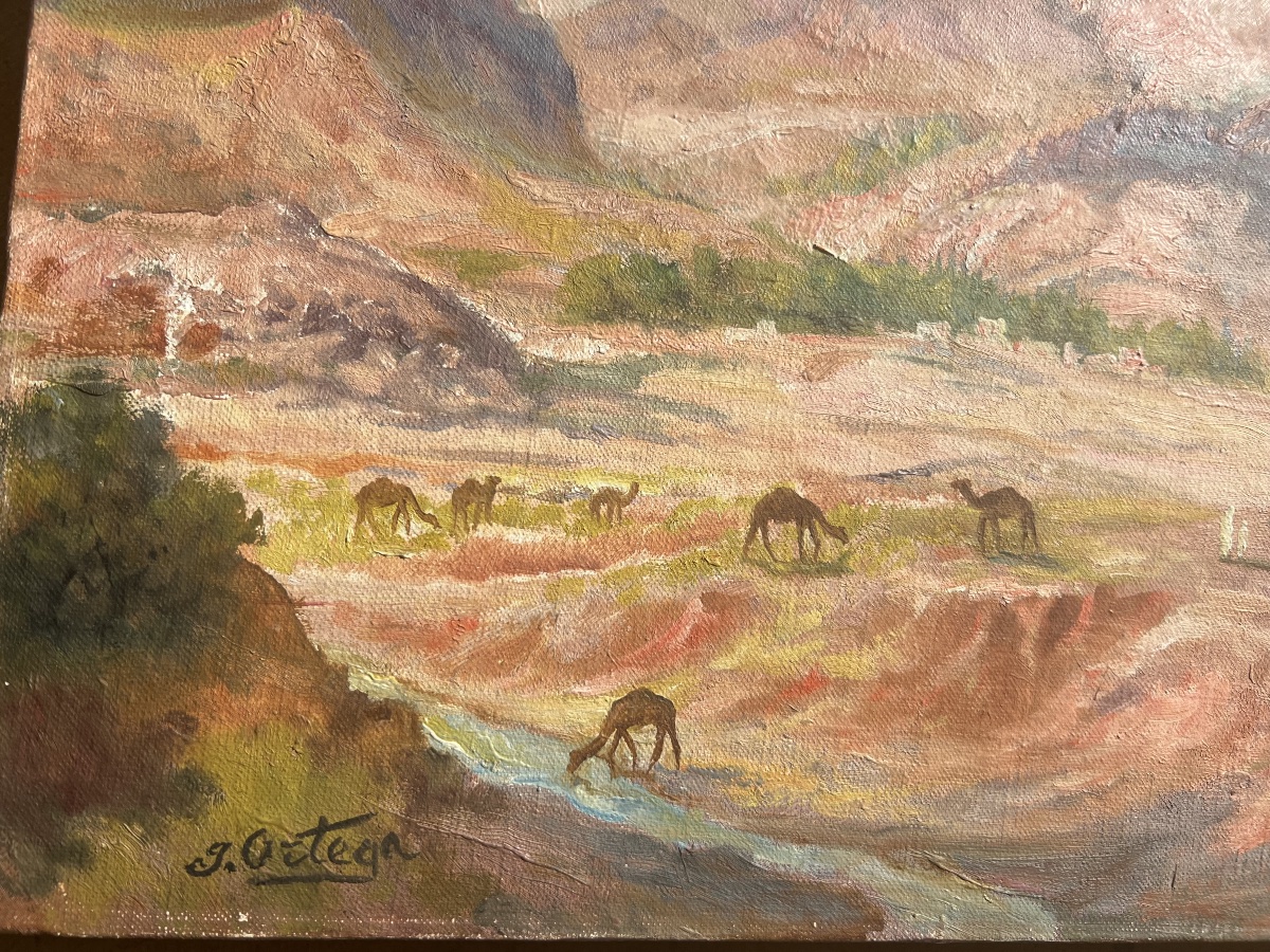 Campement en Algérie, par José Ortega-photo-4