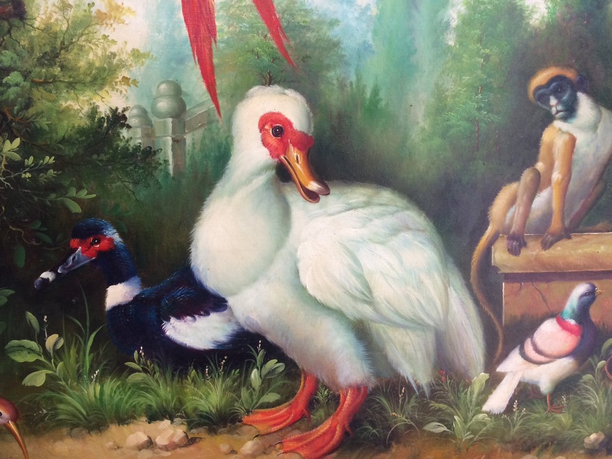   Singe Et Volatiles. Grand Tableau, école 19 ème -photo-4