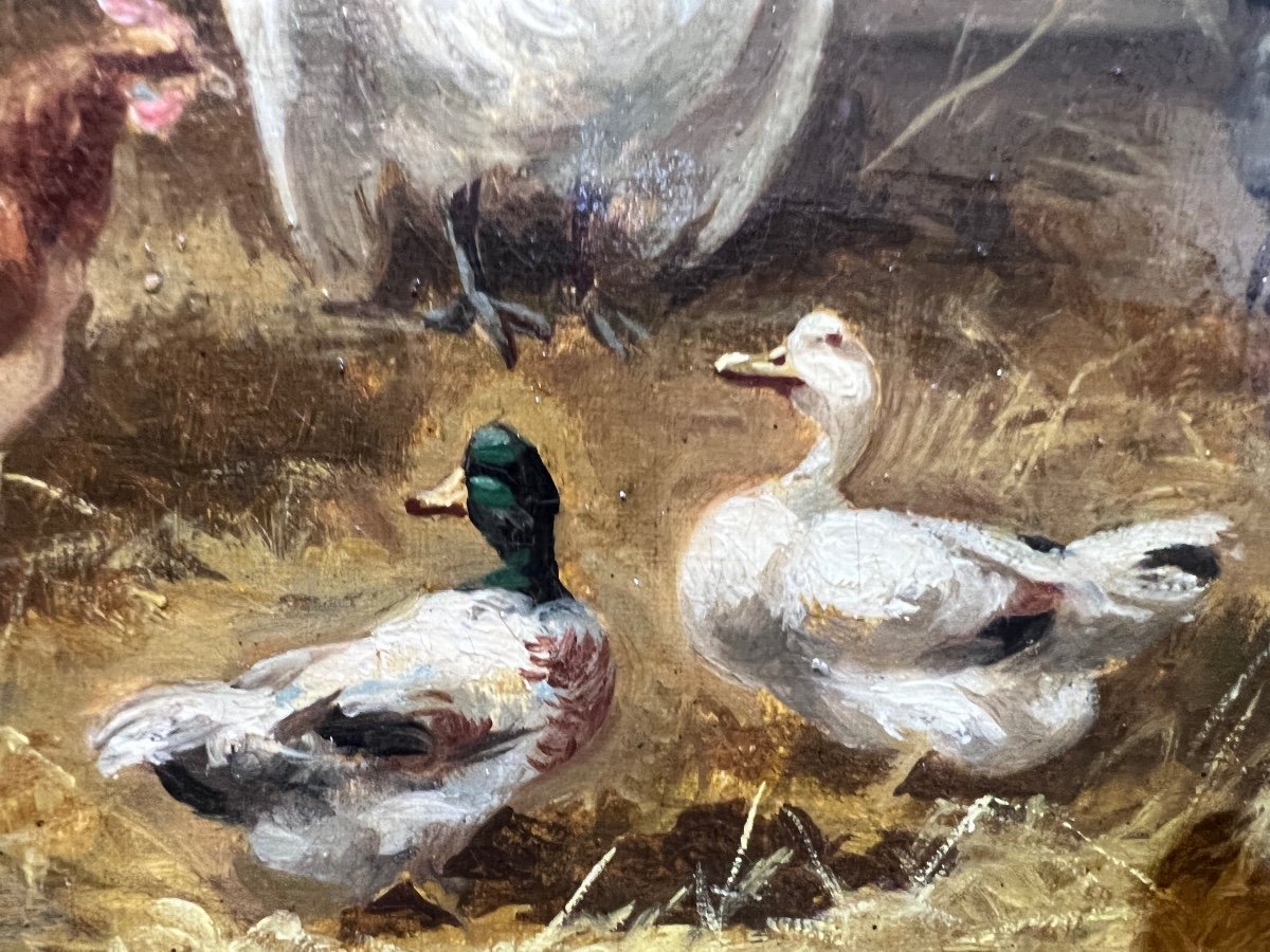 G.angelvy : Le Poulailler, Huile Sur Toile 19 ème -photo-1