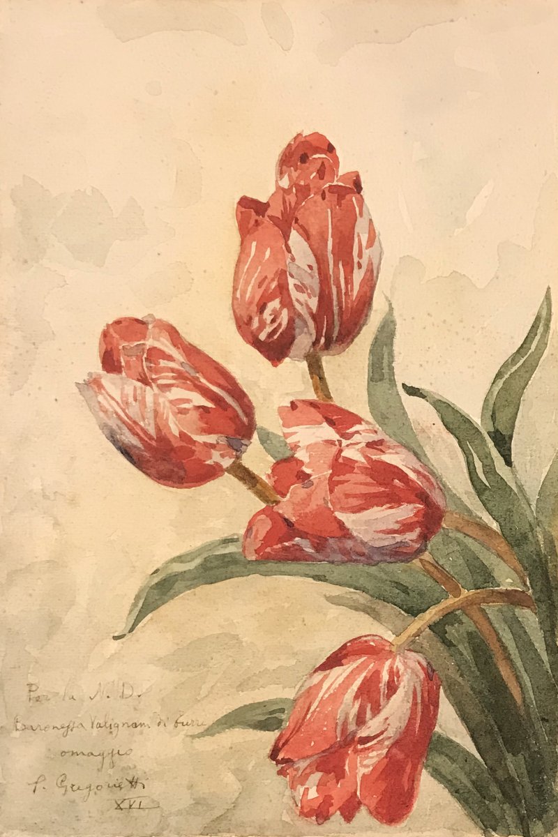 Salvatore Gregorietti - Pink Tulips XVI - 1937-photo-2