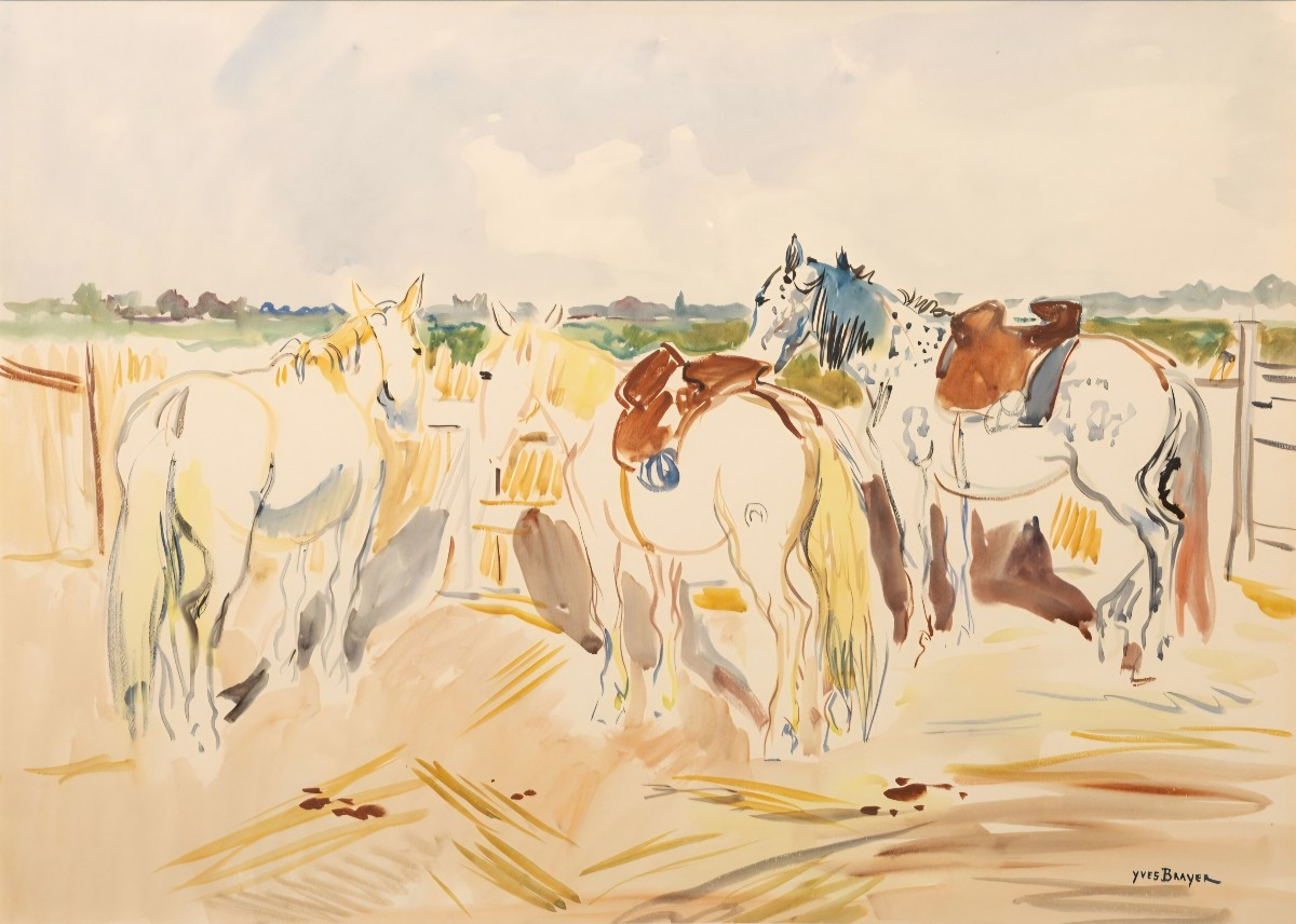 Yves BRAYER "Chevaux en Camargue",Grande aquarelle originale signée. 75cm/55cm.