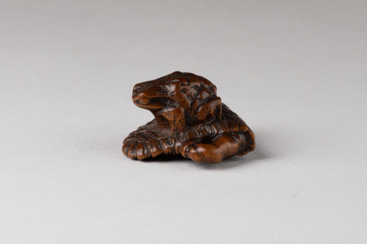 Netsuke – Small Carved Wooden Model Of A Toad, Sitting On An Abandoned Waraji. Japan Edo-photo-2