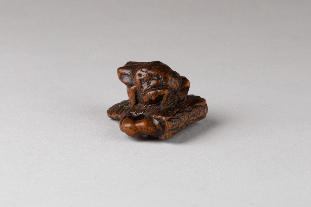 Netsuke – Small Carved Wooden Model Of A Toad, Sitting On An Abandoned Waraji. Japan Edo-photo-3
