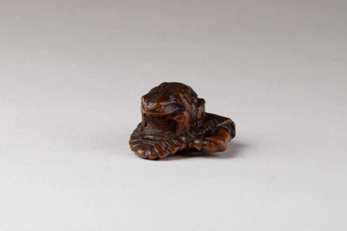 Netsuke – Small Carved Wooden Model Of A Toad, Sitting On An Abandoned Waraji. Japan Edo