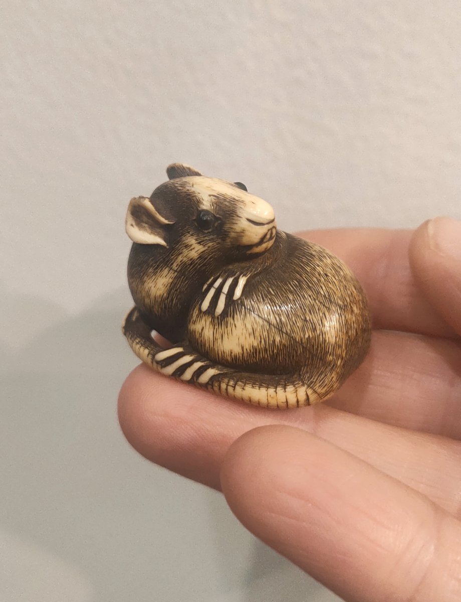 Netsuke, Rat en ivoire sculpté, Japon Edo Art d'asie-photo-4