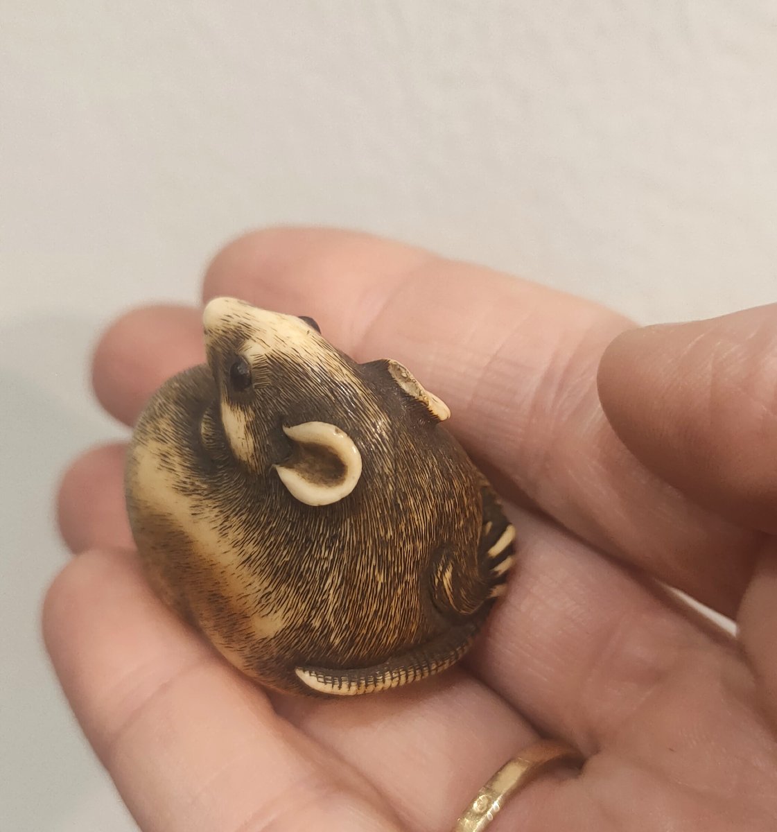 Netsuke, Rat en ivoire sculpté, Japon Edo Art d'asie-photo-1