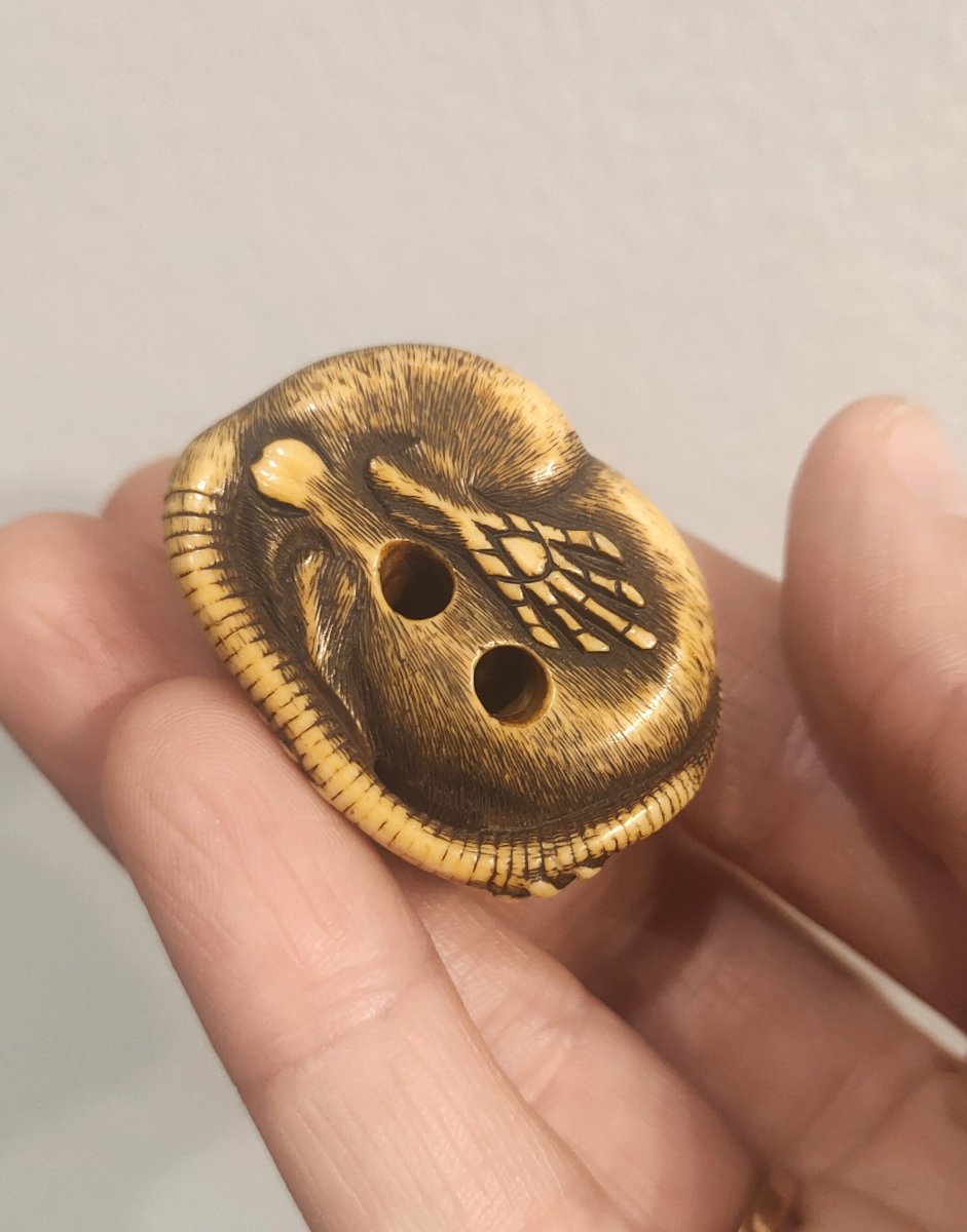 Netsuke, Rat en ivoire sculpté, Japon Edo Art d'asie-photo-2