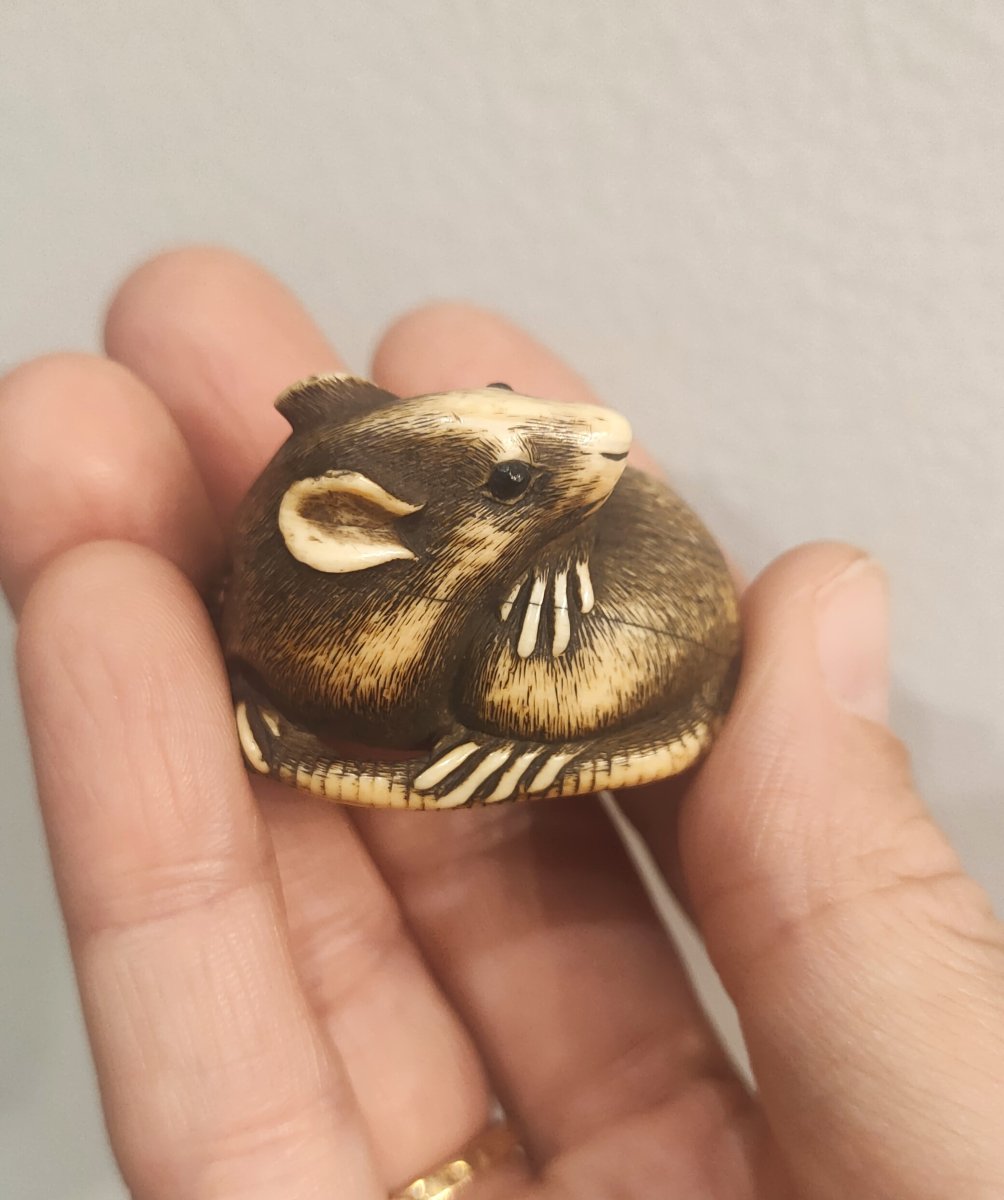 Netsuke, Rat en ivoire sculpté, Japon Edo Art d'asie-photo-3