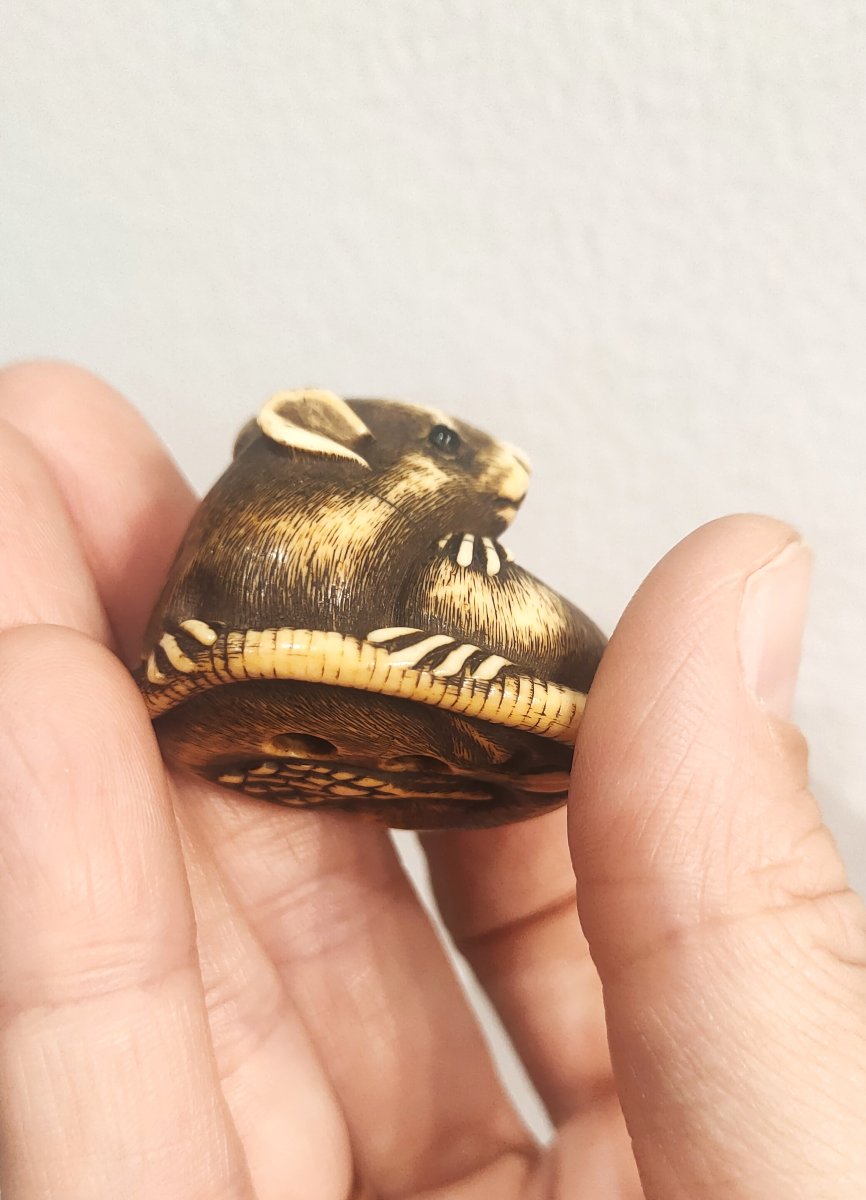 Netsuke, Rat en ivoire sculpté, Japon Edo Art d'asie-photo-4