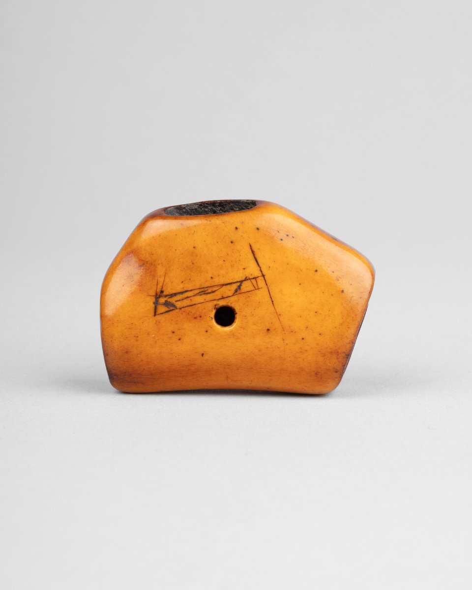Netsuke en corne de cerf sculpté représentant un tigre parmi les bambous. Japon Edo, Meiji-photo-3
