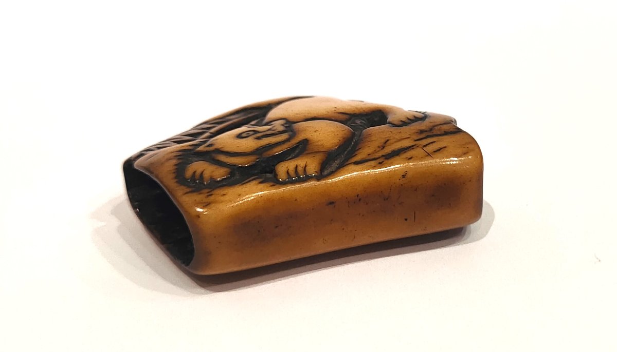 Netsuke en corne de cerf sculpté représentant un tigre parmi les bambous. Japon Edo, Meiji-photo-1