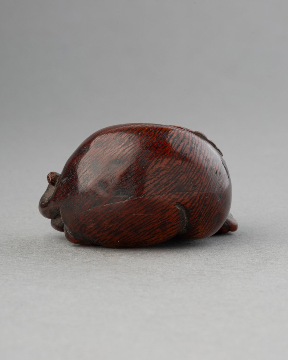 Netsuke - Chien couché en buis sculpté, Japon fin Edo, début Meiji. Sagemono Art Japonais-photo-3