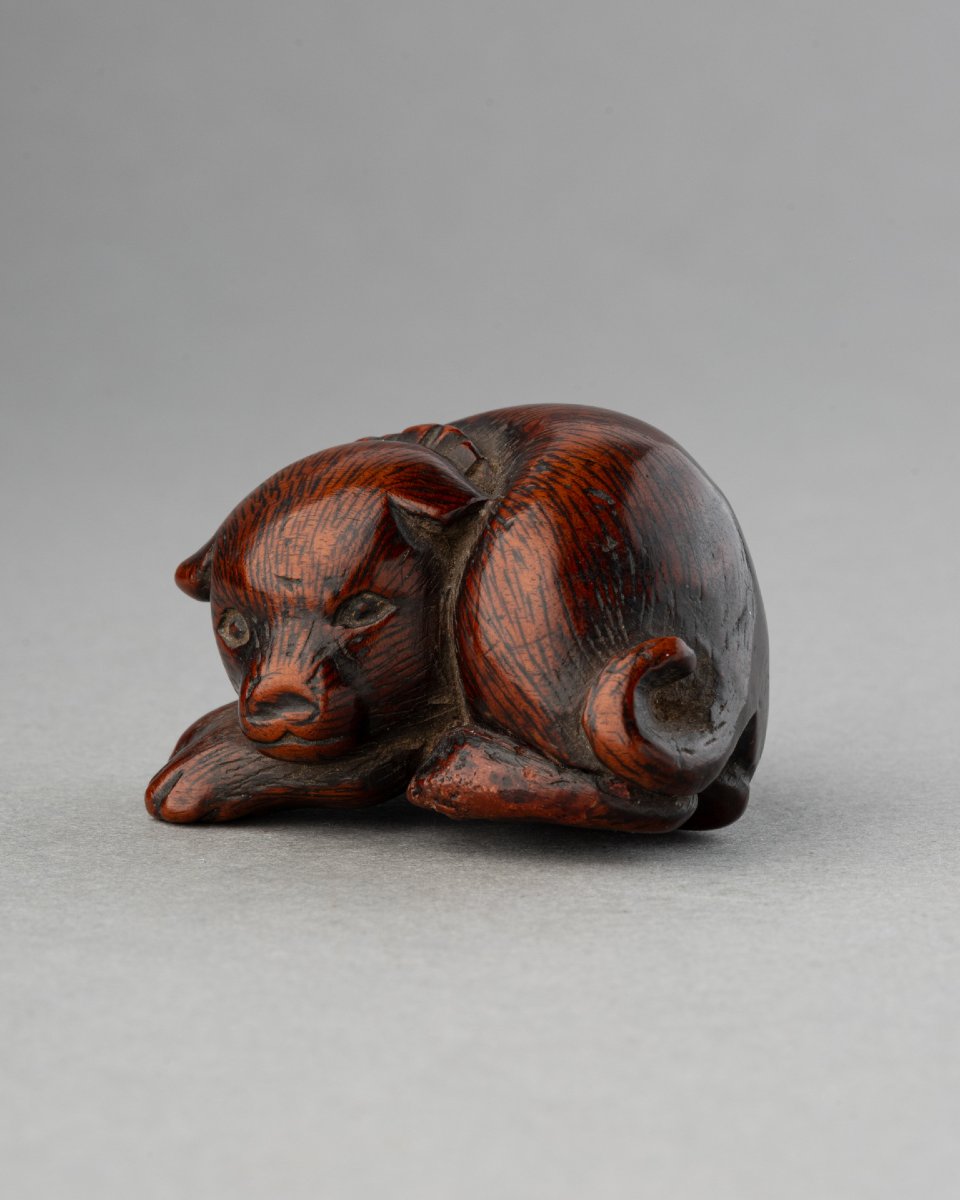 Netsuke - Chien couché en buis sculpté, Japon fin Edo, début Meiji. Sagemono Art Japonais-photo-4