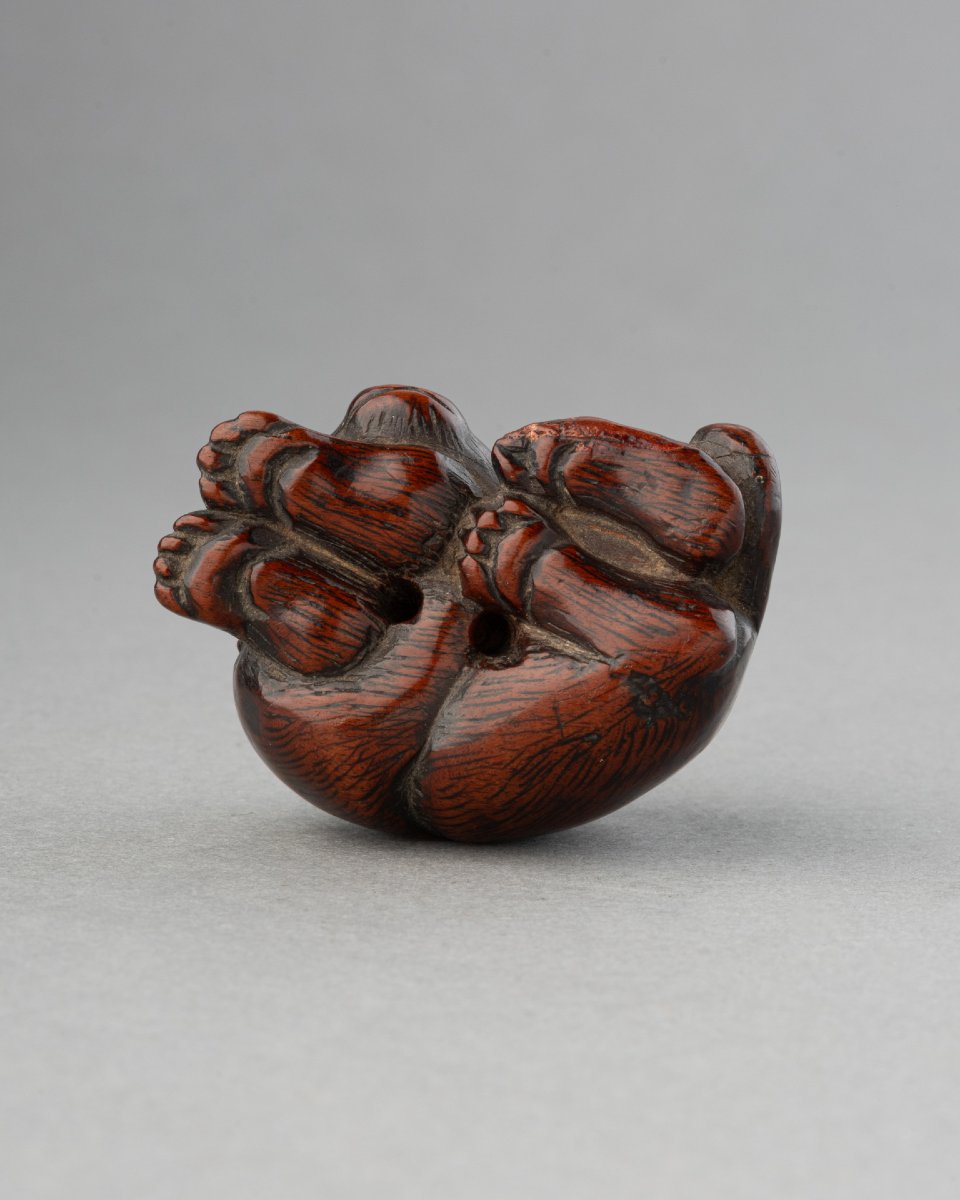 Netsuke - Chien couché en buis sculpté, Japon fin Edo, début Meiji. Sagemono Art Japonais-photo-1