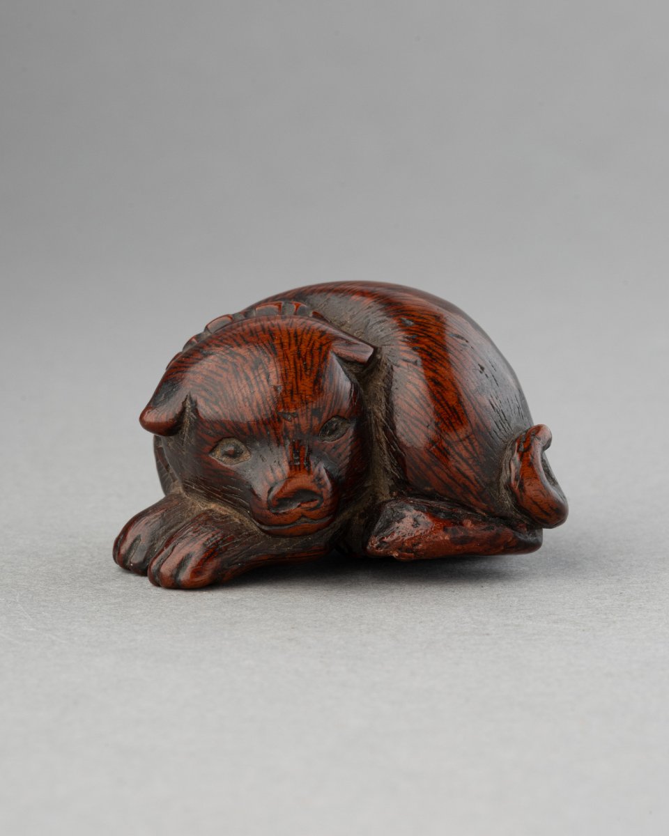 Netsuke - Chien couché en buis sculpté, Japon fin Edo, début Meiji. Sagemono Art Japonais