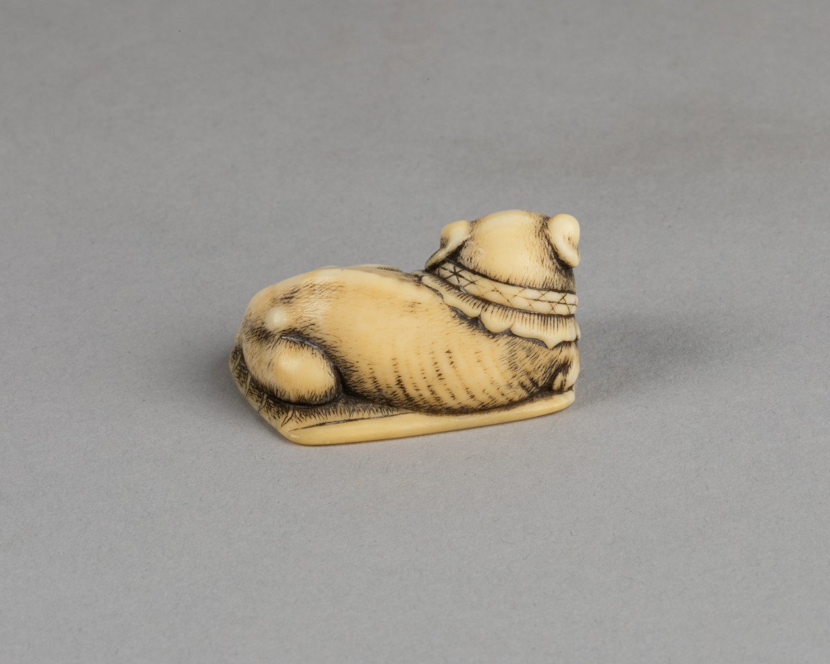 Netsuke – Chiot Couché Sur Un Tapis. Japon Edo XVIIIe Siècle-photo-3