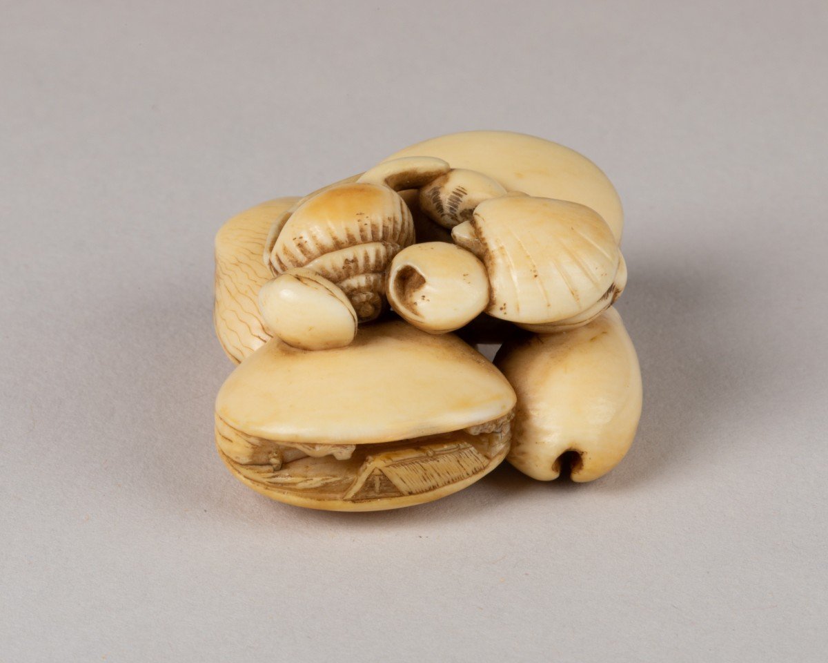 Netsuke - Conjoined Seashells-photo-3