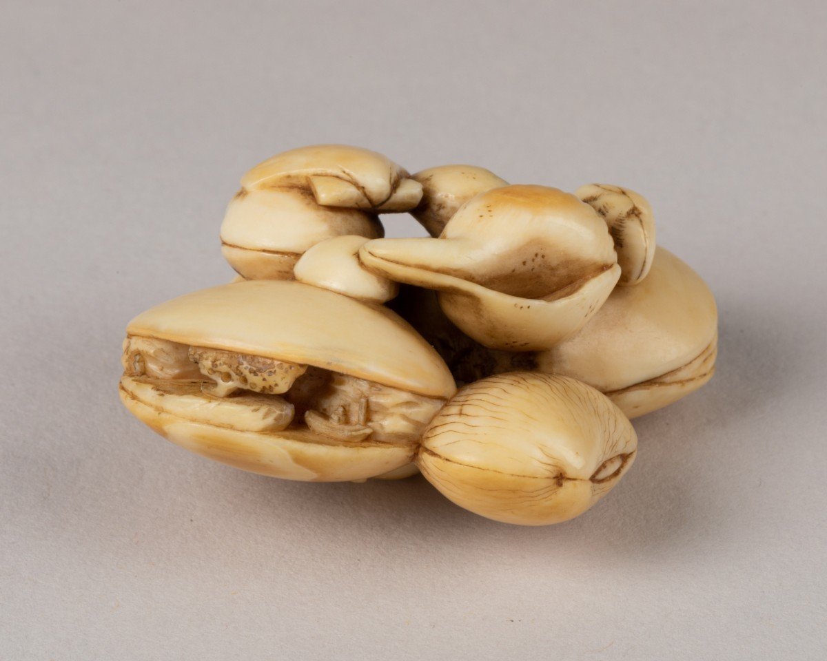 Netsuke - Coquillages Accolés-photo-4