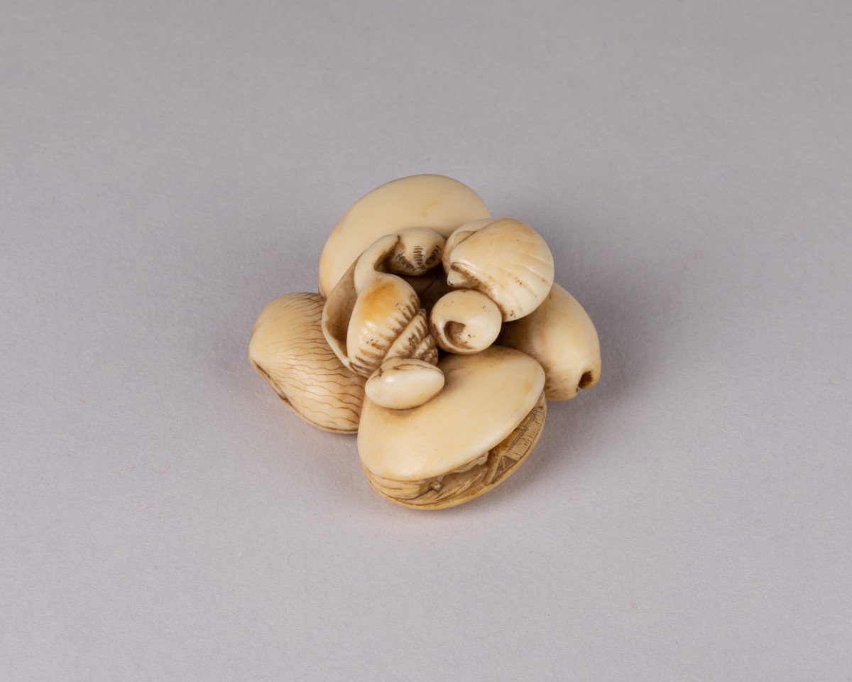 Netsuke - Conjoined Seashells-photo-5