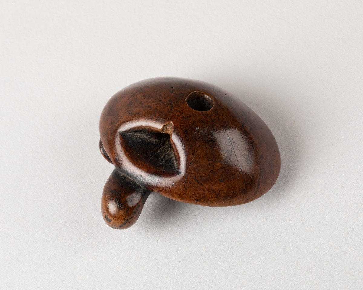 Netsuke - Champignon Et Petite Châtaigne Accolée En Bois. Japon Edo XIXe-photo-2