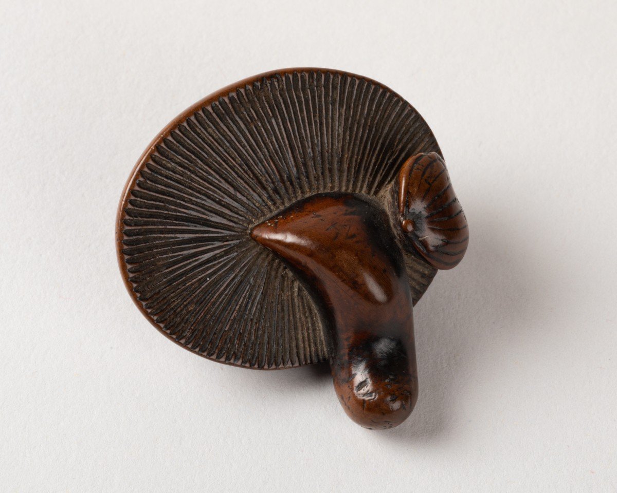 Netsuke - Chestnut And A Plump Mushroom. Japan Edo 19th-photo-4
