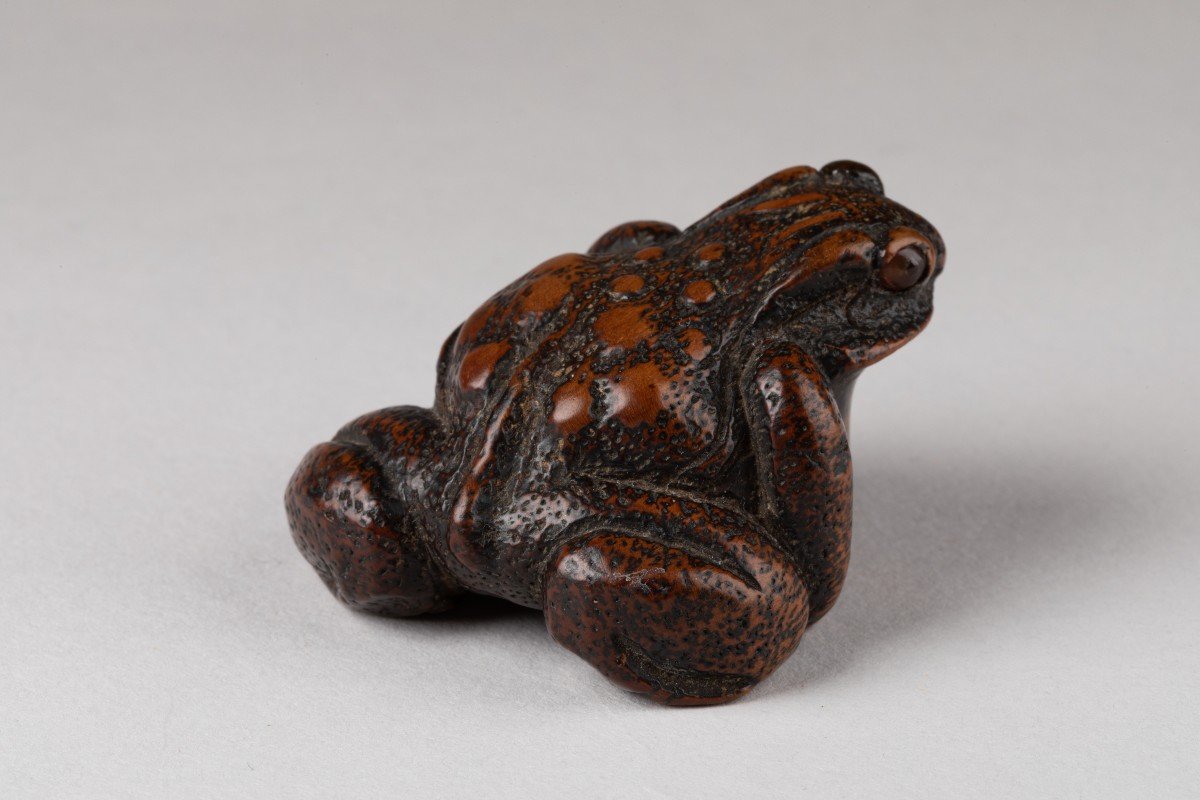 Netsuke - Crapaud En Bois Sculpté. Japon Edo 18e-photo-4