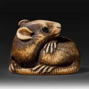 Netsuke, Rat en ivoire sculpté, Japon Edo Art d'asie