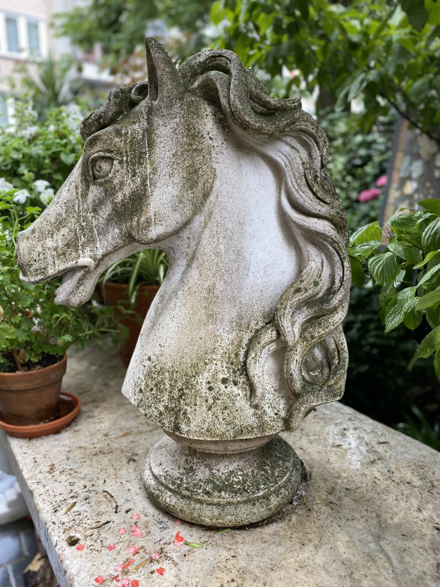 Stone Horse Head-photo-4
