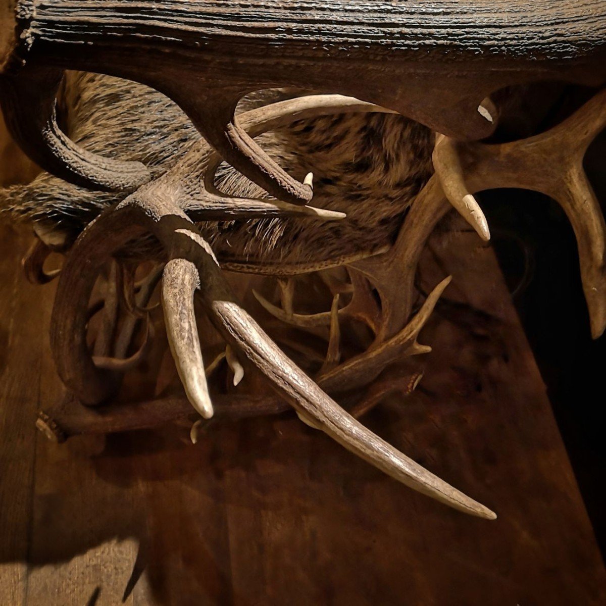 Deer Wood Armchair-photo-2