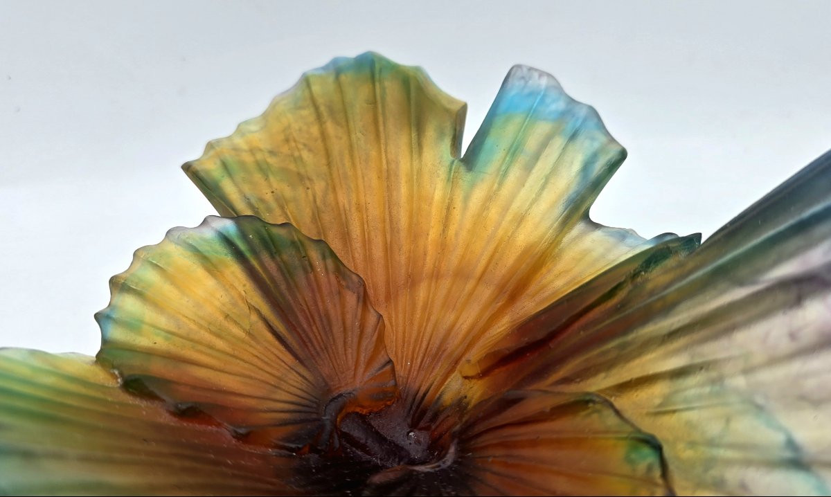 Emilio ROBBA et DAUM - Coupe Palmier en pâte de verre-photo-1