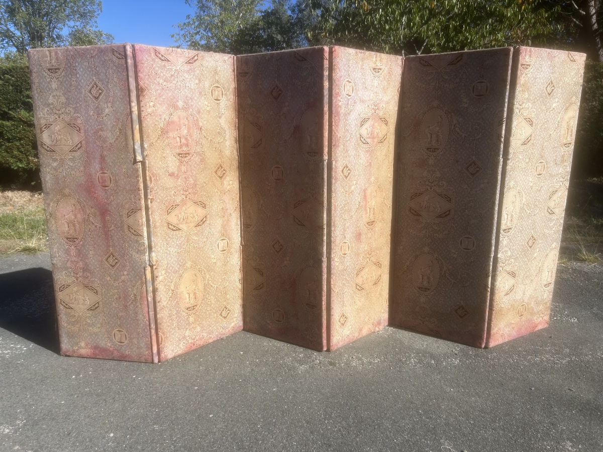 6-panel Antique Toile De Jouy Screen With Patina, 19th-century Antique Furniture From A Castle-photo-2