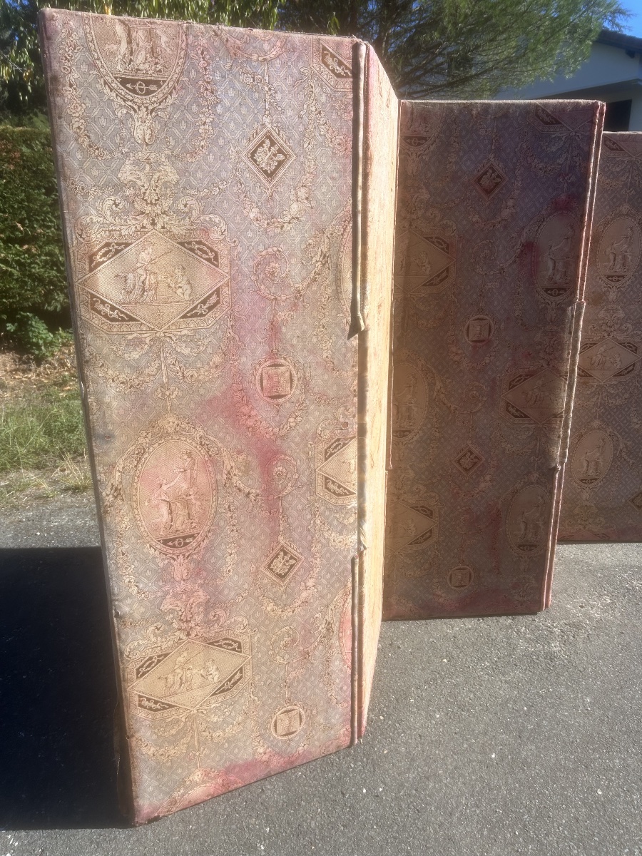 6-panel Antique Toile De Jouy Screen With Patina, 19th-century Antique Furniture From A Castle-photo-1