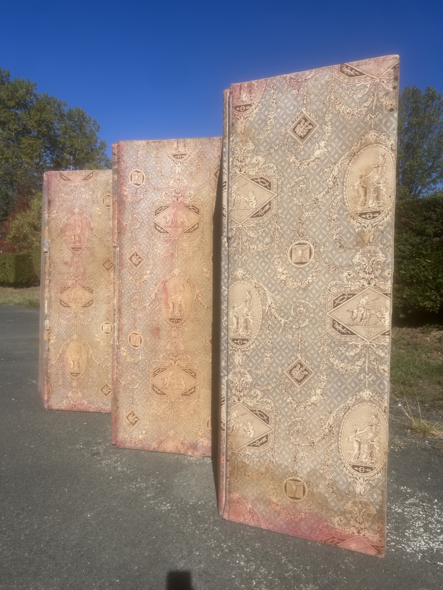 6-panel Antique Toile De Jouy Screen With Patina, 19th-century Antique Furniture From A Castle-photo-3