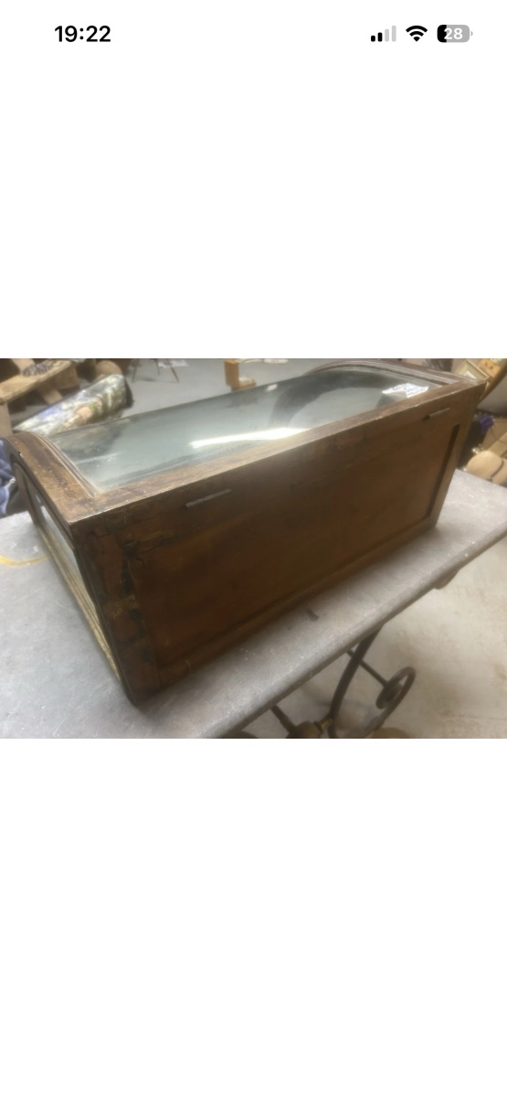 Antique Curved-glass Display Case, 19th Century, Retail, Boutique, Jewelry, Collection, Watch-photo-2