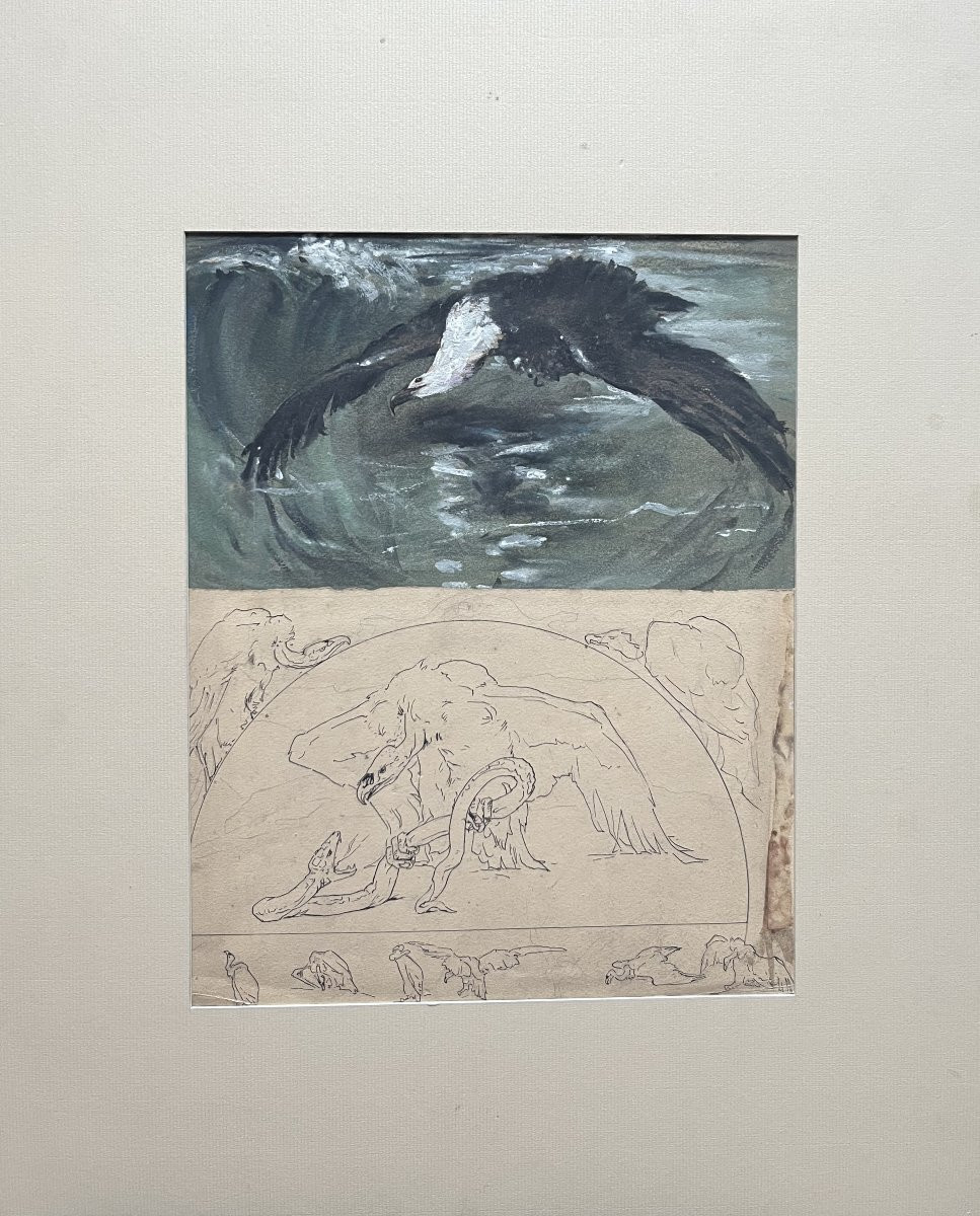 Casimir Brau-simon, A Seagull - A Vulture, Studies In Gouache And Pen-photo-2