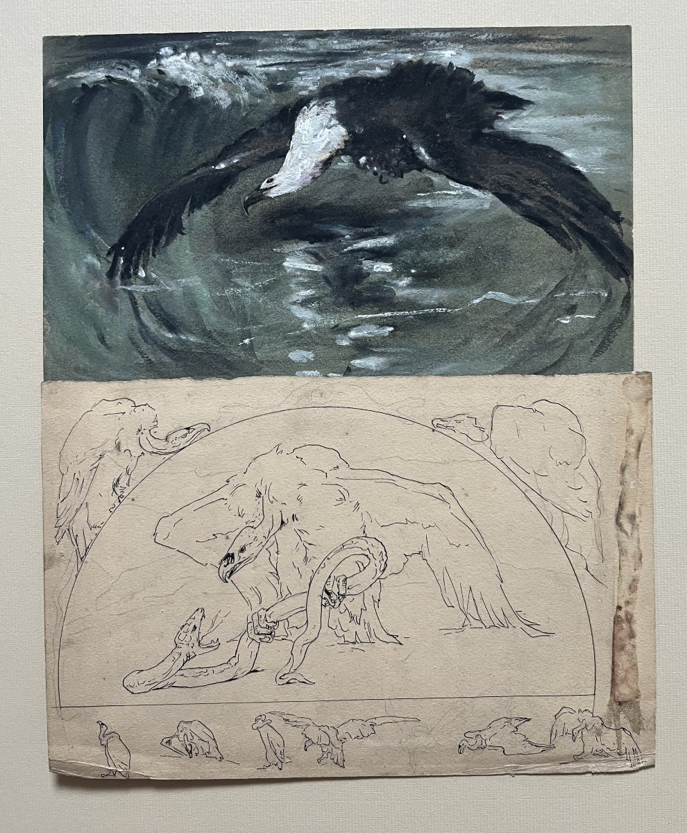 Casimir Brau-simon, A Seagull - A Vulture, Studies In Gouache And Pen-photo-3