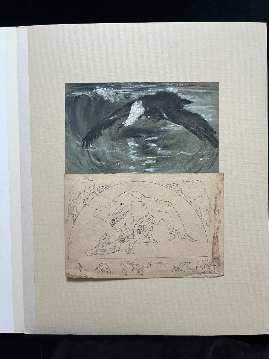 Casimir Brau-simon, A Seagull - A Vulture, Studies In Gouache And Pen-photo-4