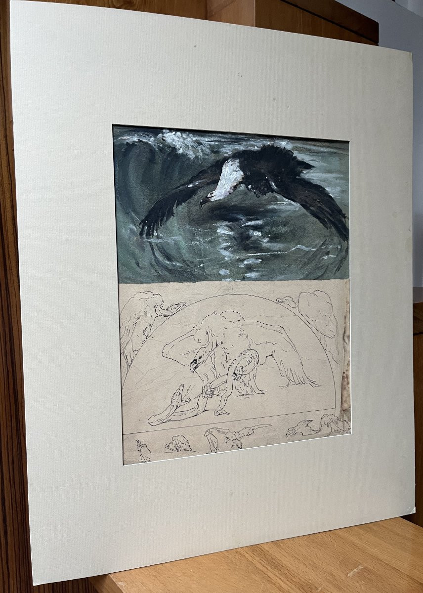 Casimir Brau-simon, A Seagull - A Vulture, Studies In Gouache And Pen-photo-4