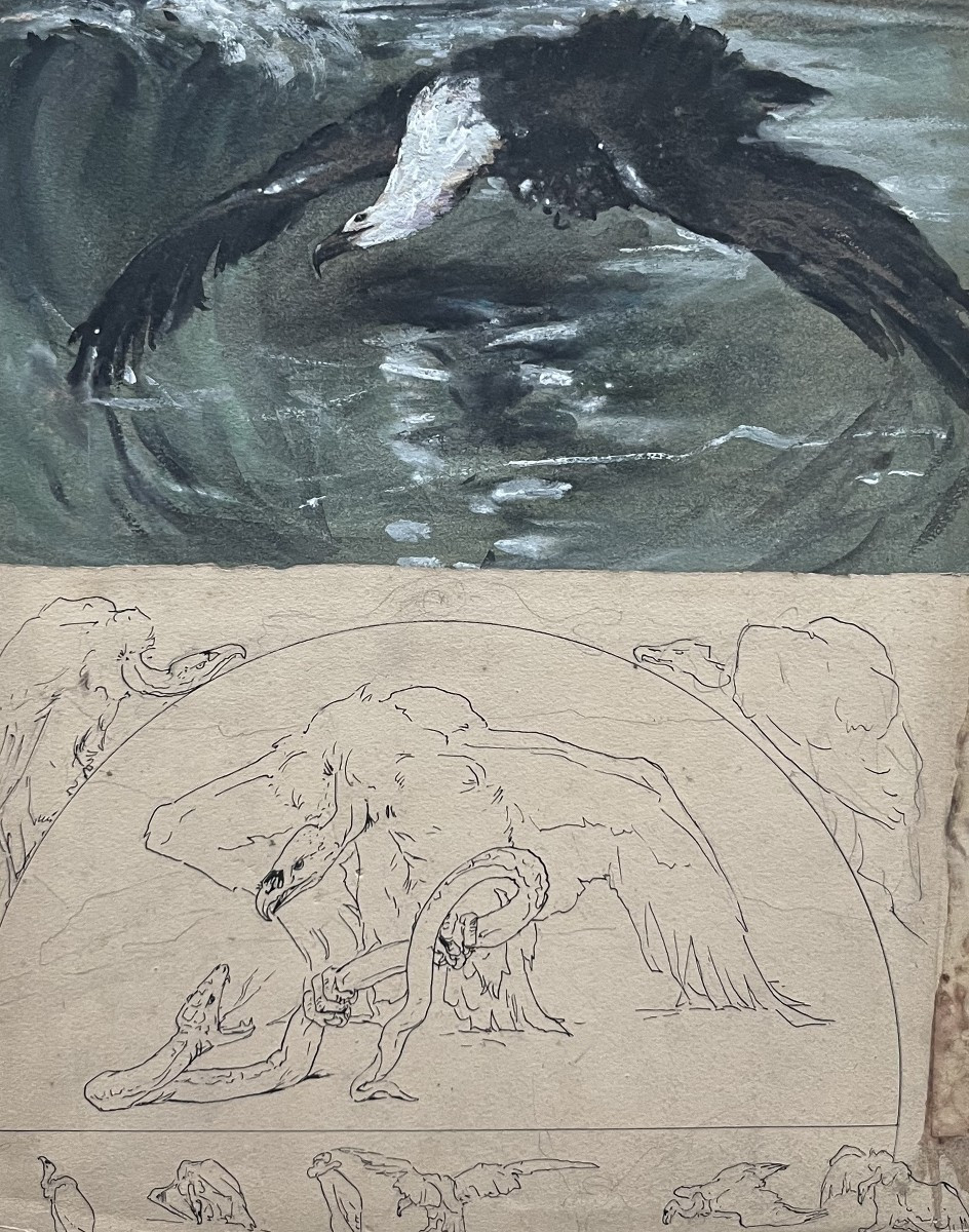 Casimir Brau-simon, A Seagull - A Vulture, Studies In Gouache And Pen