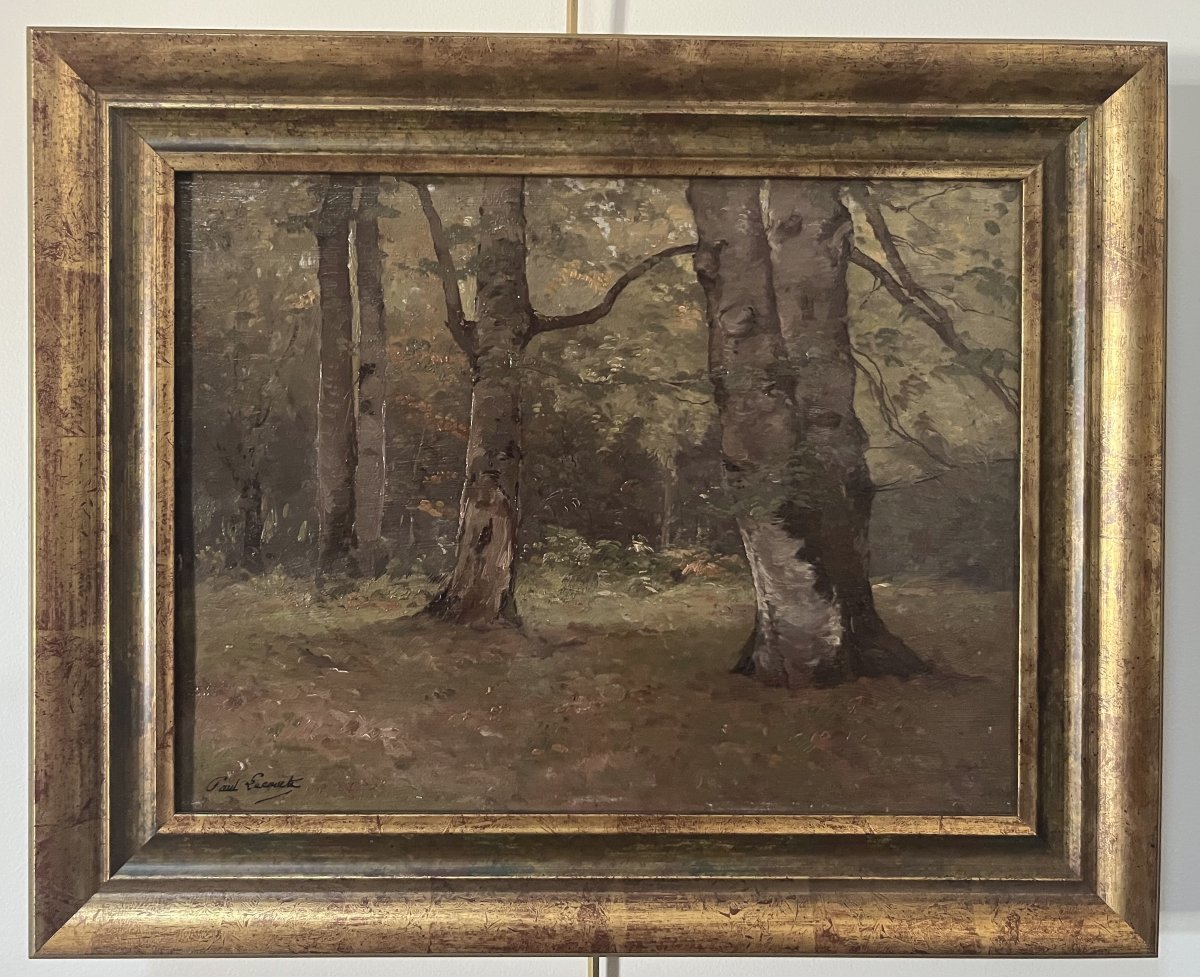 Paul Lecomte (1842-1920) A Grove Of Trees, Oil On Panel Signed-photo-2