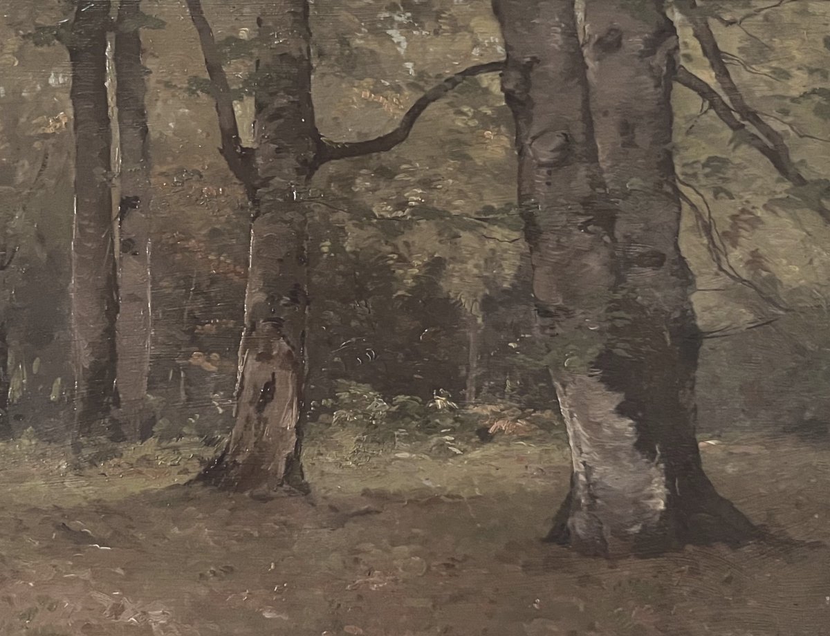 Paul Lecomte (1842-1920) A Grove Of Trees, Oil On Panel Signed-photo-4
