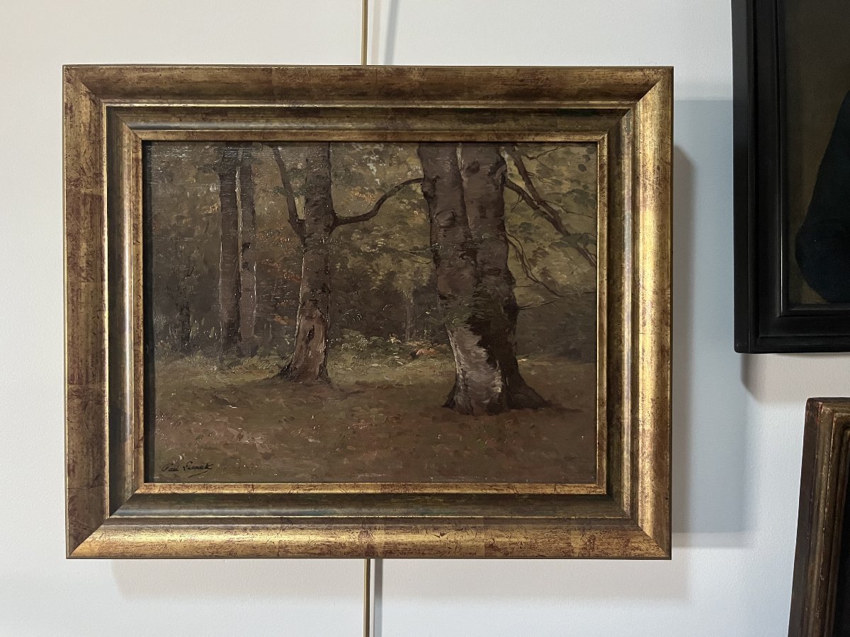 Paul Lecomte (1842-1920) A Grove Of Trees, Oil On Panel Signed-photo-3