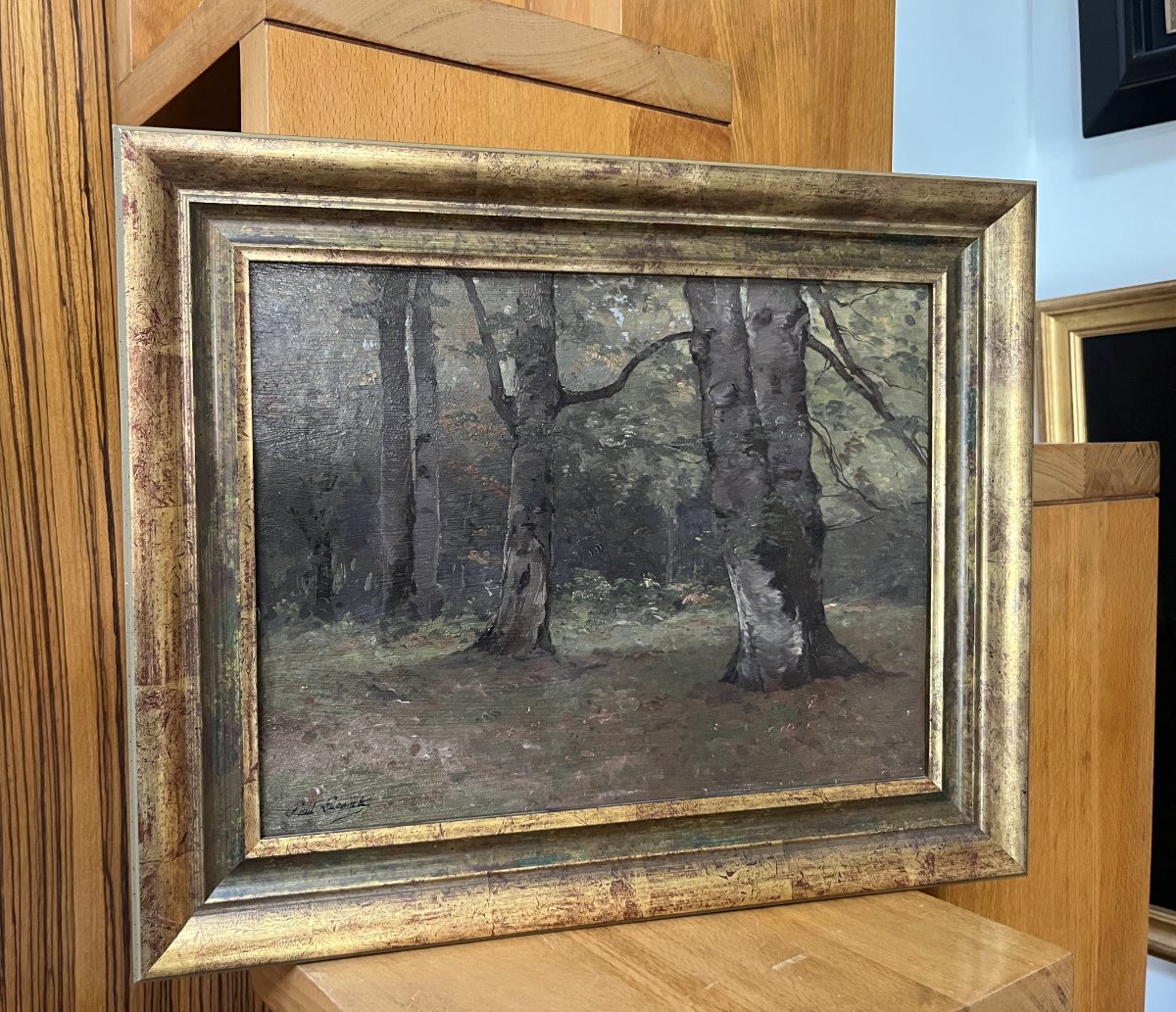 Paul Lecomte (1842-1920) A Grove Of Trees, Oil On Panel Signed-photo-4