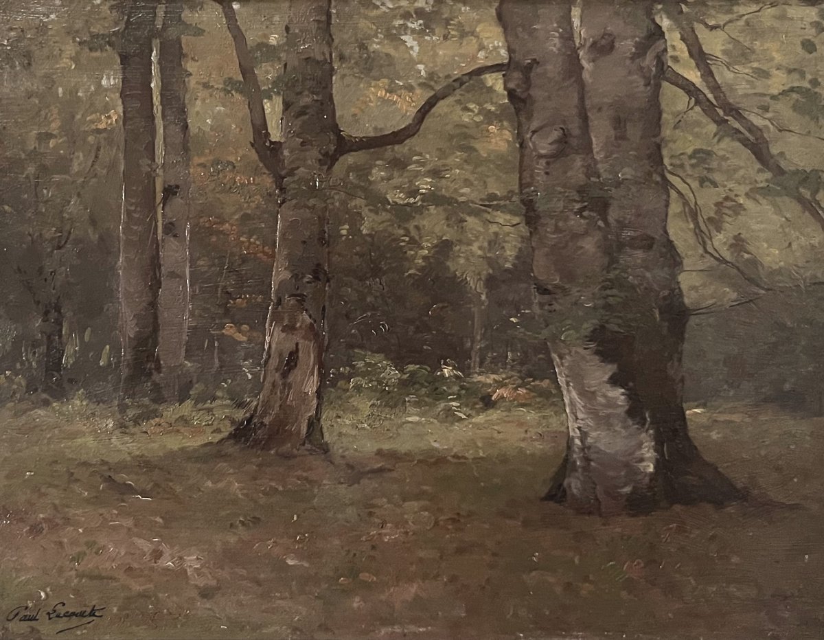 Paul Lecomte (1842-1920) A Grove Of Trees, Oil On Panel Signed