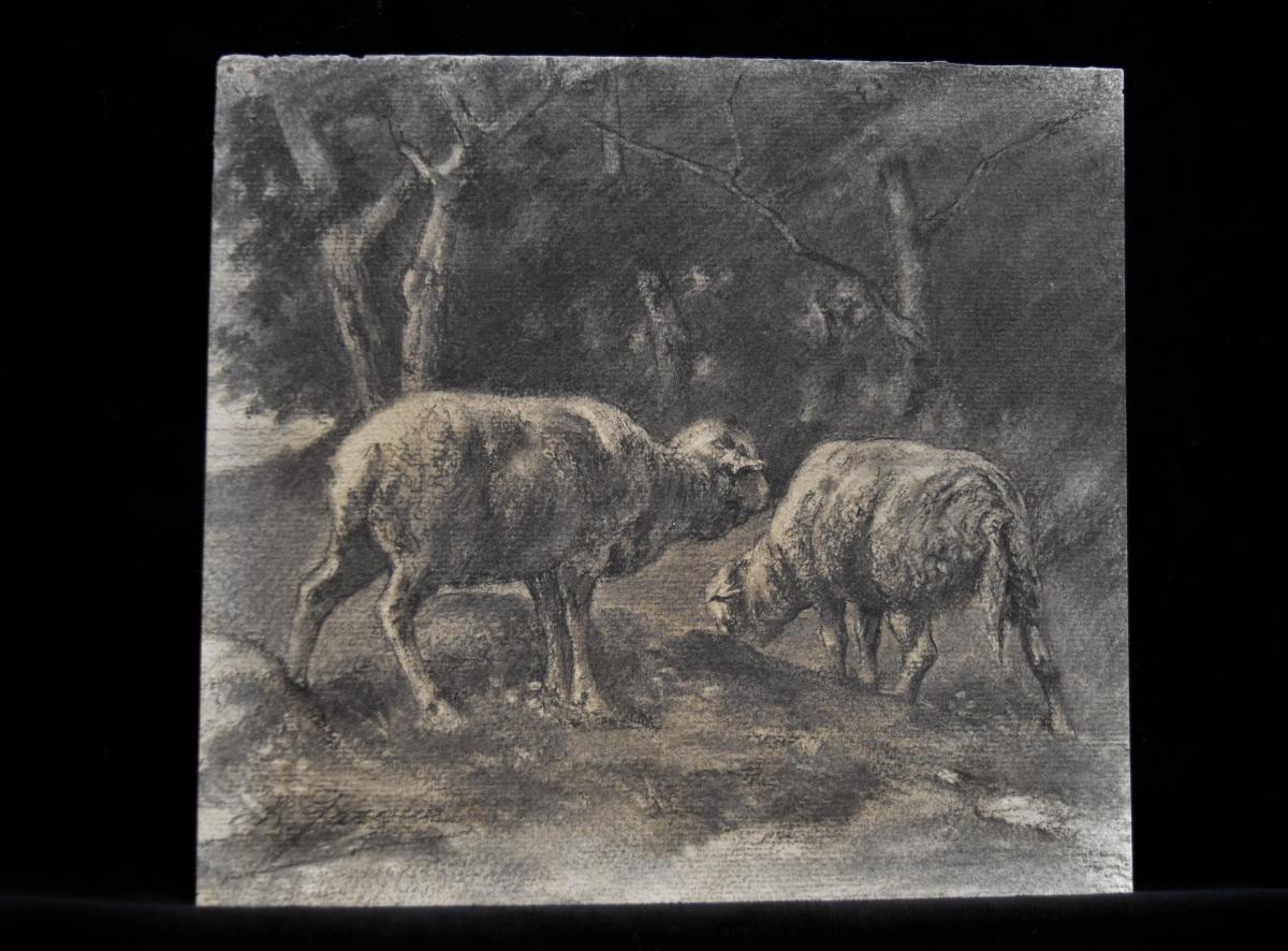 Charles-emile Jacques (1813-1894) Two Sheeps, Drawing-photo-2