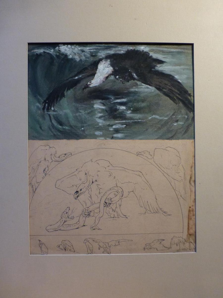 Casimir Brau-simon, Gull And Vulture Studies, Watercolor And Feather-photo-2