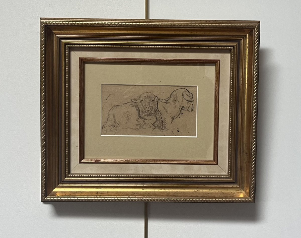 Charles Emile Jacque (1813-1894) Two Sheep, Studies-photo-4